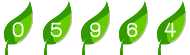 compteur site