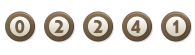 web counter